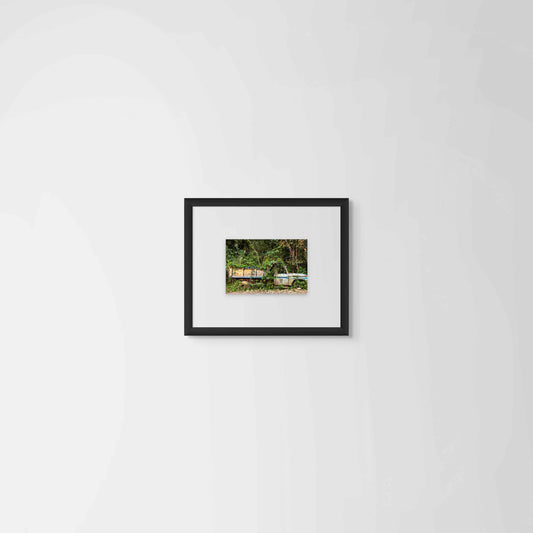Museo Nacional de Plantas, Chiapas, 2008