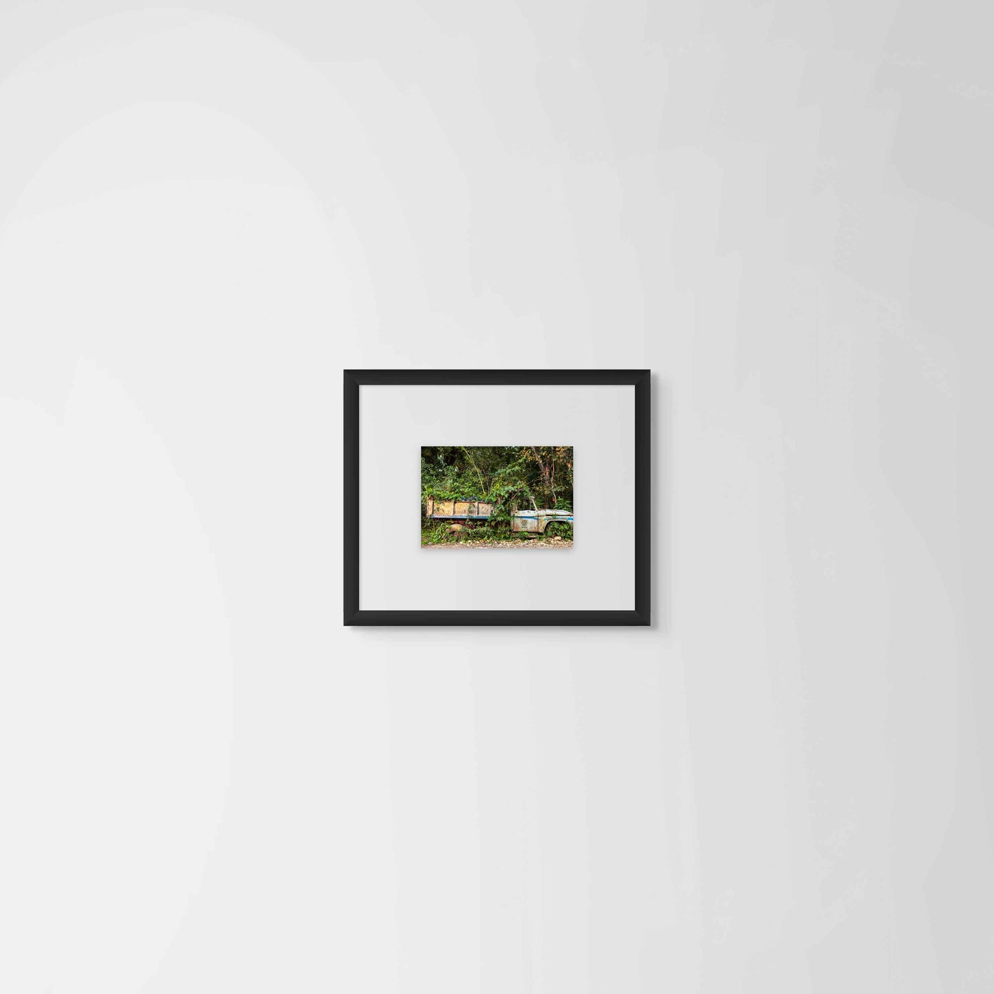 Museo Nacional de Plantas, Chiapas, 2008