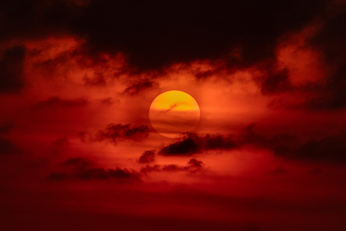 SUN
