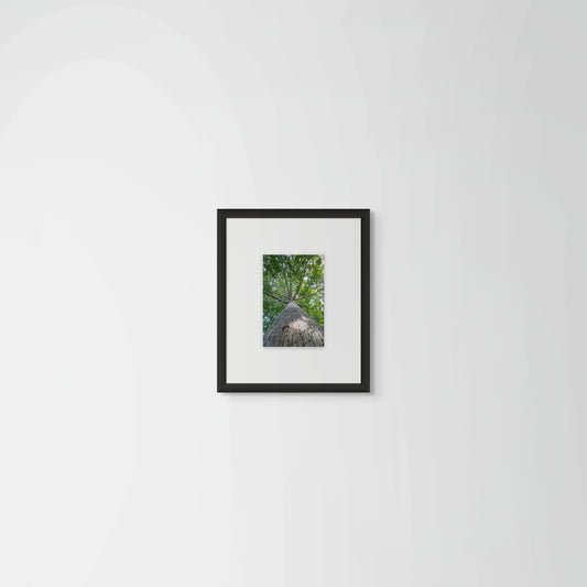 Ceiba 1, 2014