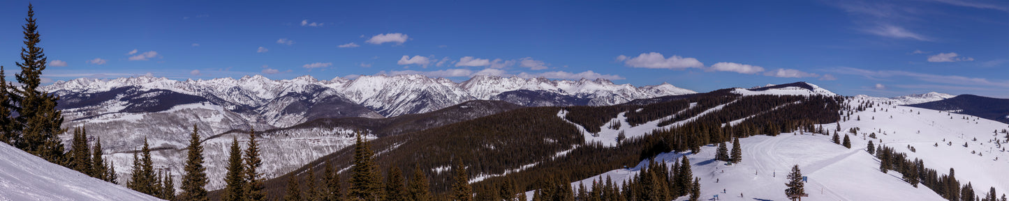 PANORAMA 1