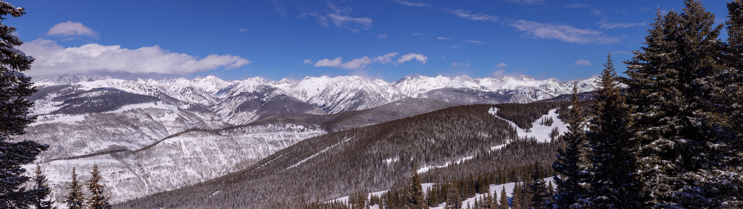 PANORAMA 4
