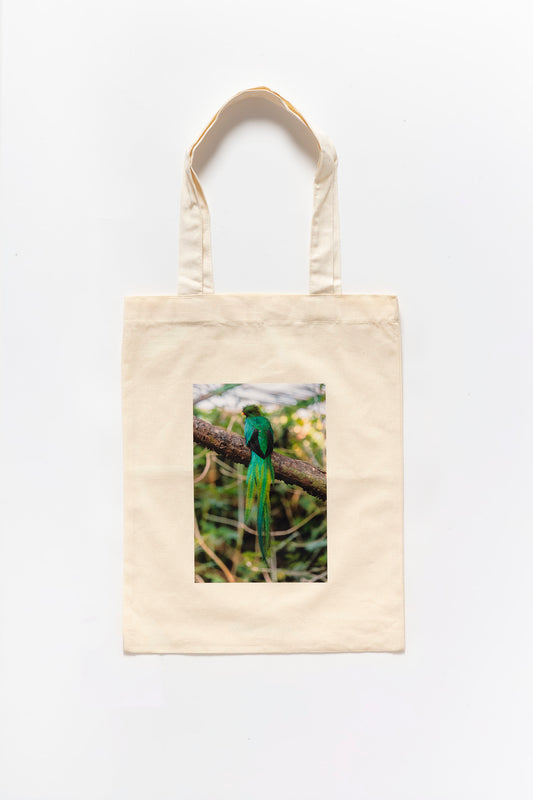 Bolsa 35x45cm color neutro