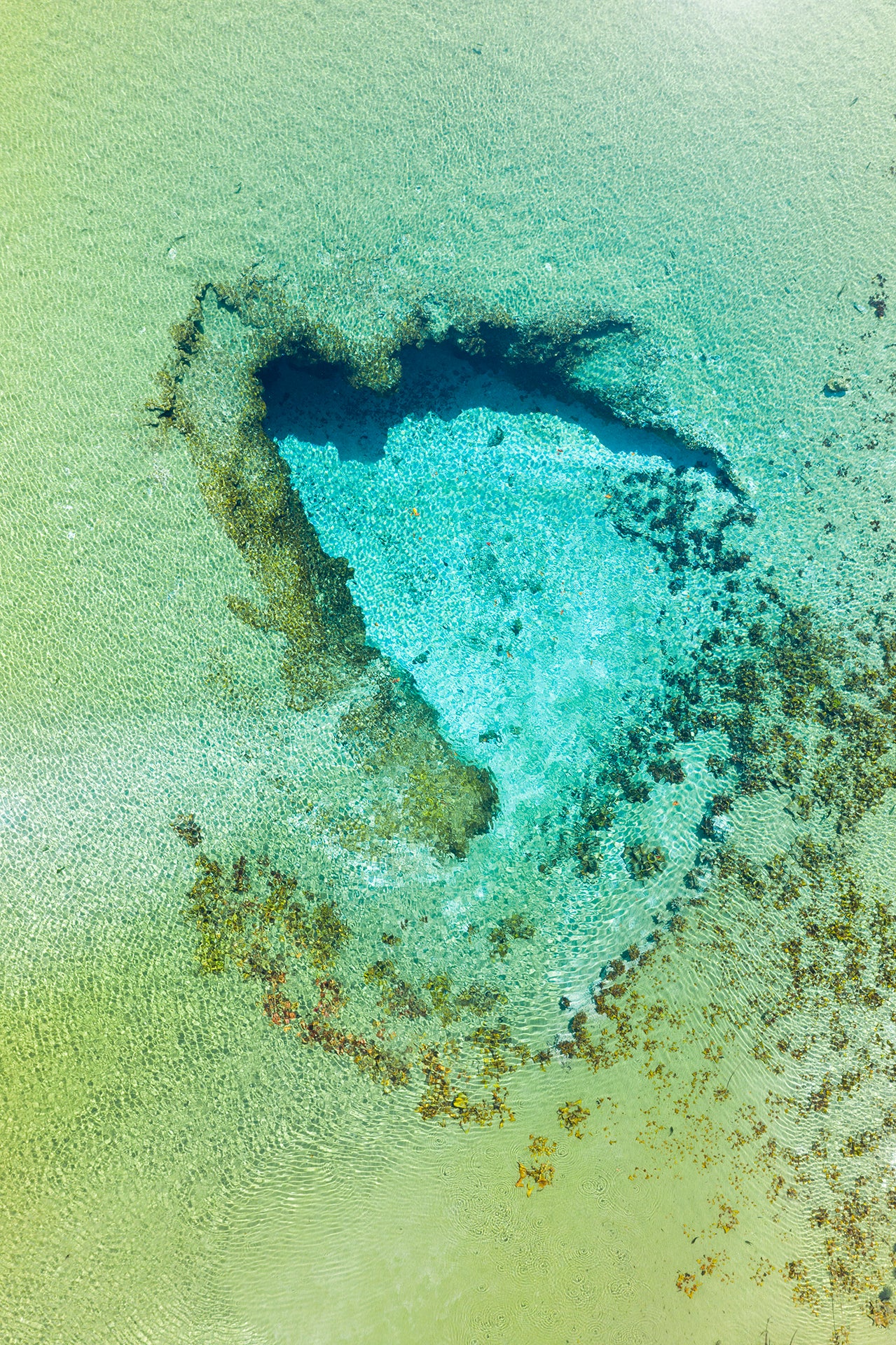 SERIE : FREE WATER / CUATRO CIENEGAS Poza Azul.