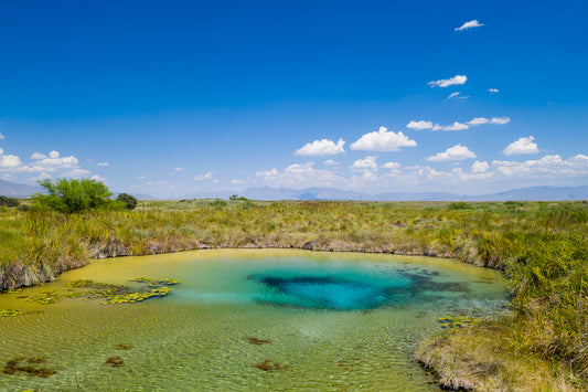 Poza Azul
