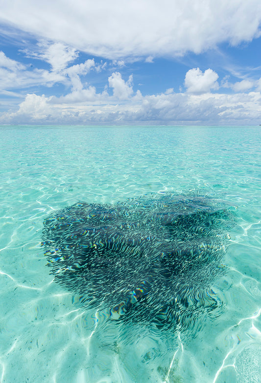 TAHITI