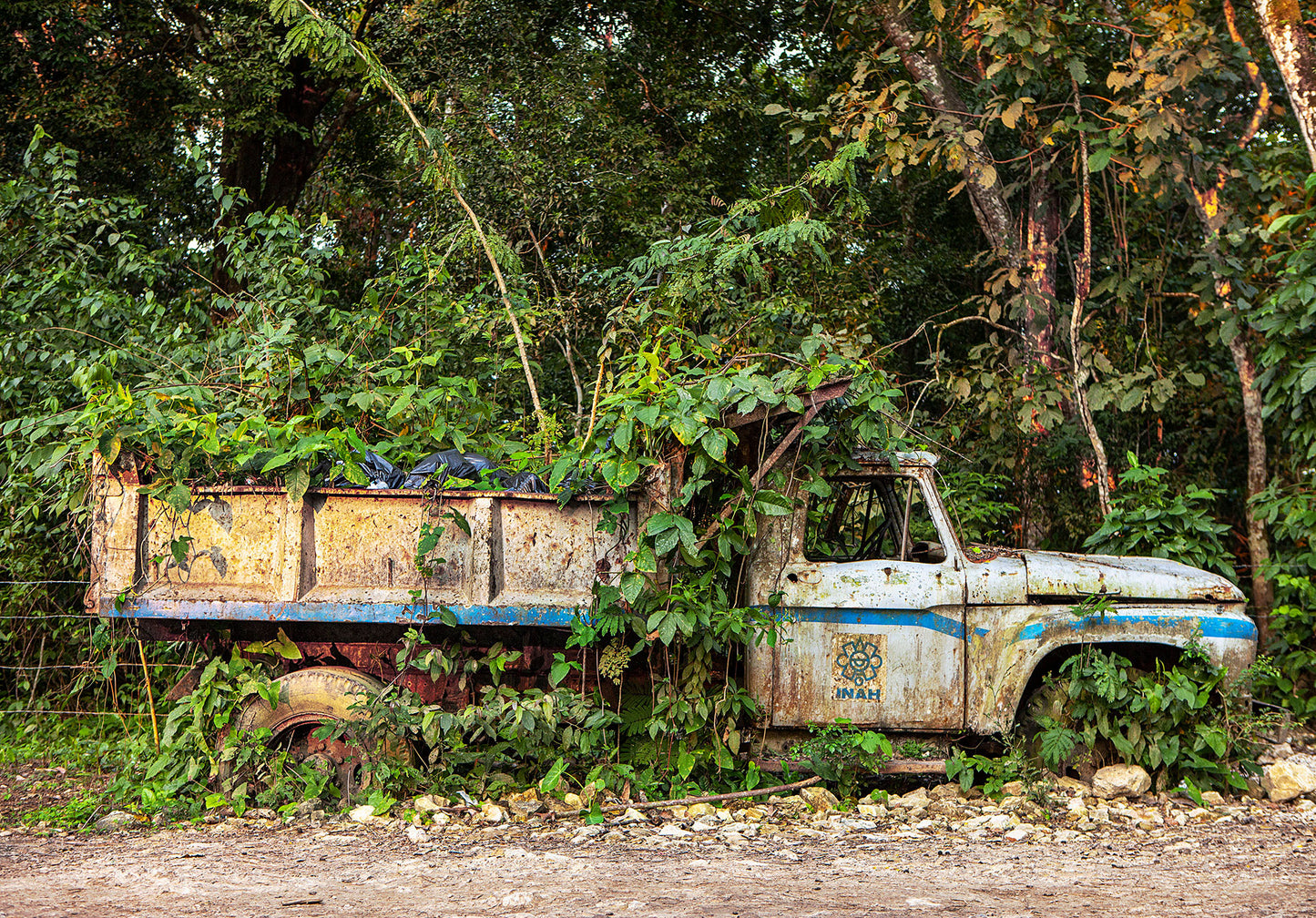 Maquina y Naturaleza