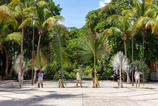 La Marcha de las Palmeras, 2018