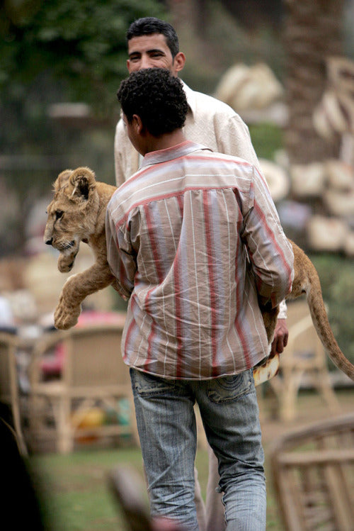 Domingo en Egipto.