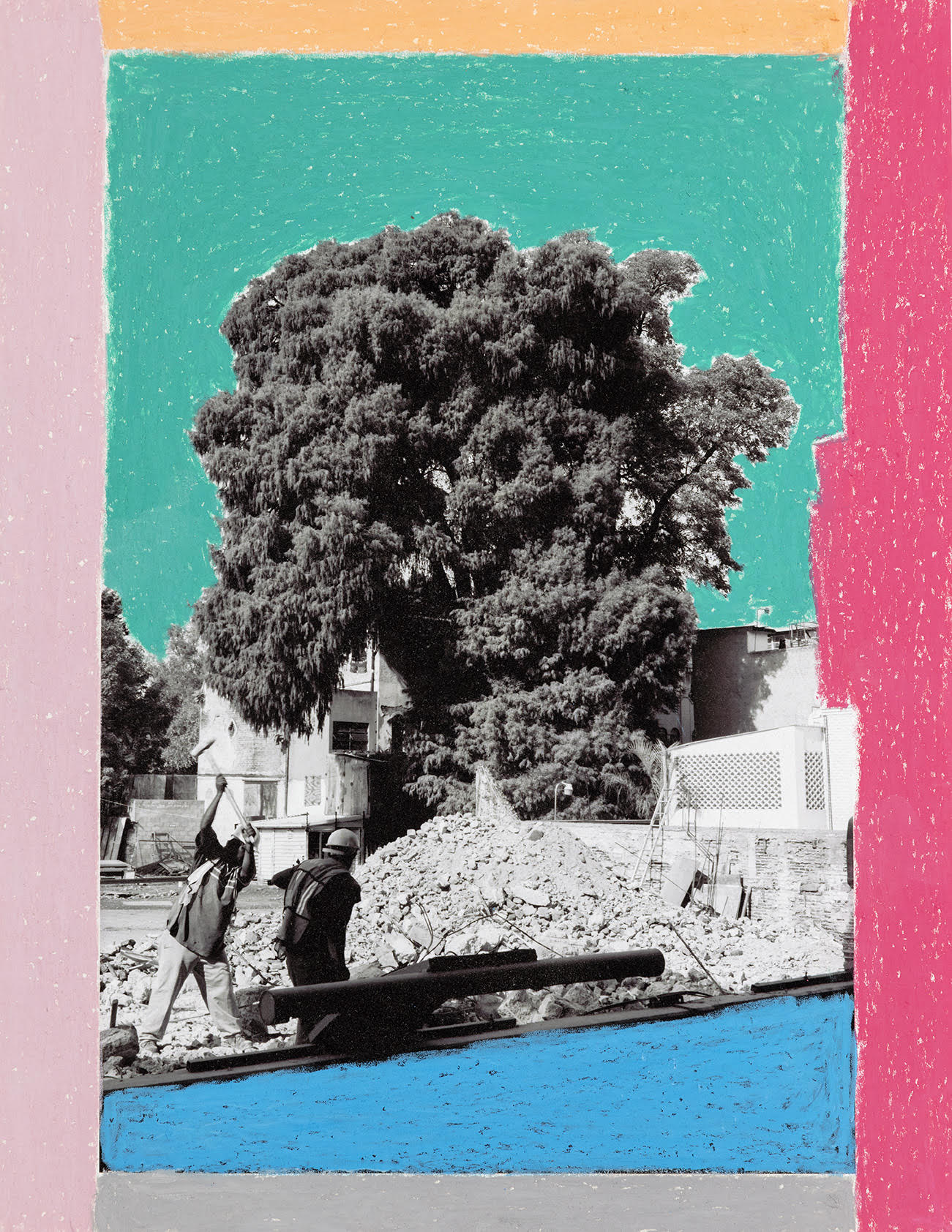 Árbol del TULE 2021, 002.