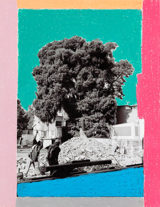 Árbol del TULE 2021, 002.