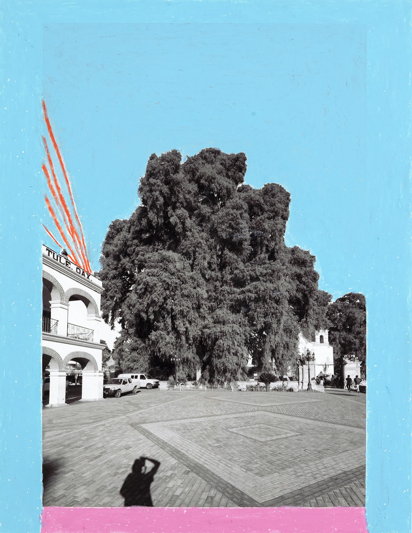Árbol del Tule 003.