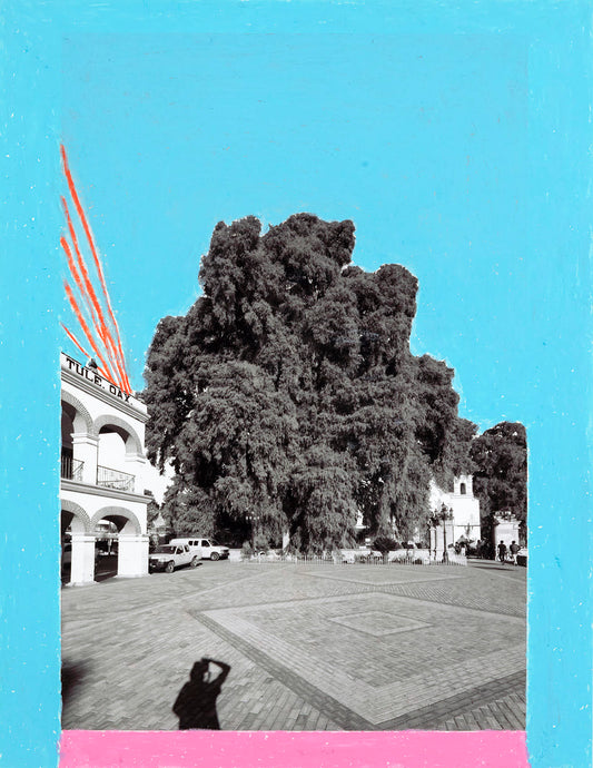 Árbol del Tule 003.