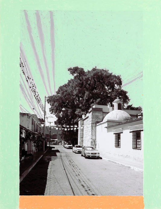 Árbol del Tule 004.